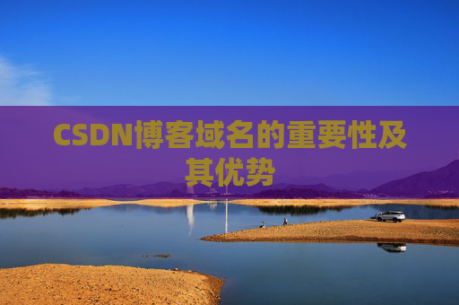CSDN博客域名的重要性及其优势